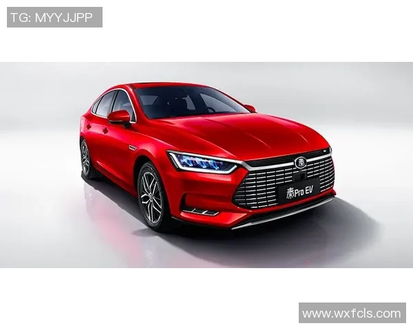 阿尔瓦雷斯坦言不视自己为幸运符纹身选择非为了标新立异 阿尔瓦雷斯坦言不视自己为幸运符纹身选择非为了标新立异