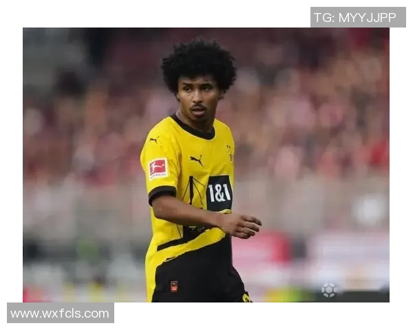 多特蒙德为阿德耶米开出年薪720万欧元的丰厚合同 多特蒙德为阿德耶米开出年薪720万欧元的丰厚合同