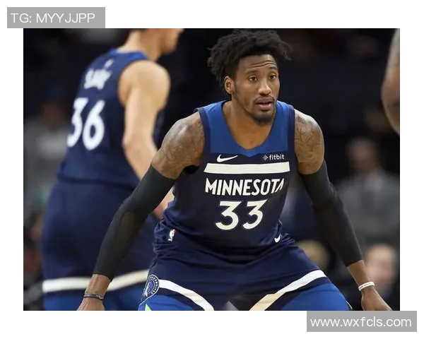 本赛季性价比最高的合同分析里夫斯与吉迪的精彩表现对比