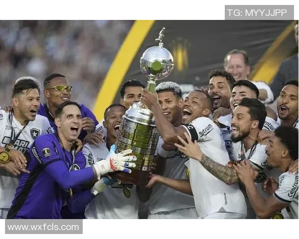 南美解放者杯决赛球队的巴西统治力近十年显著体现