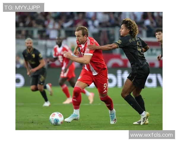 德甲最新积分榜分析拜仁强势领跑多特霍村紧随其后药厂表现平平